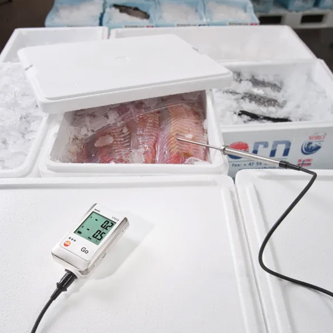 Datalogger de temperatura de dos canales TESTO 175 T2